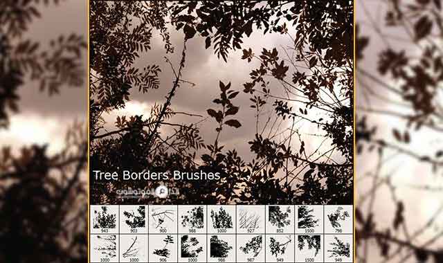 Tree Borders
