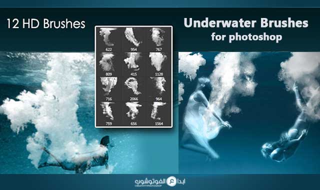 underwater brushes