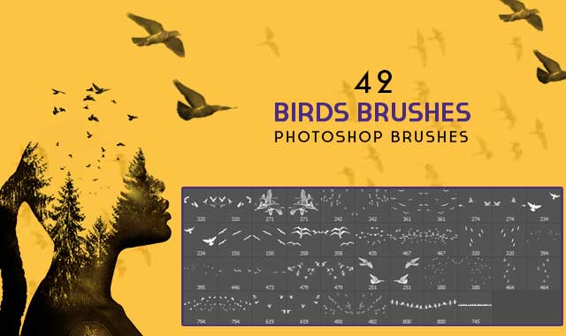 birds brushes