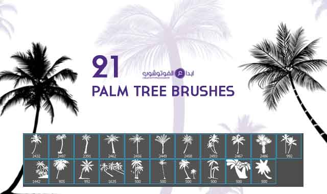 palm tree brushes