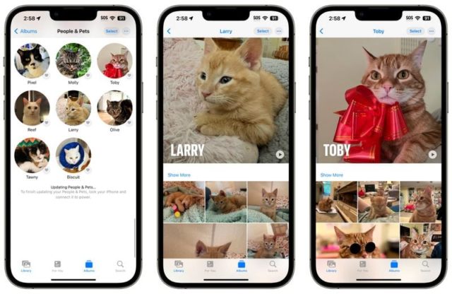 من iPhoneIslam.com، أربع صور لقطط على شاشة iPhone تعرض الكاميرا الجديدة وتطبيقات الصور في iOS 17.